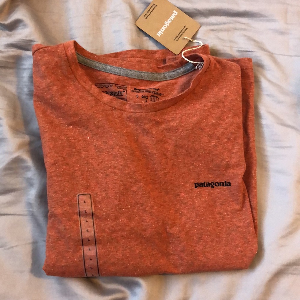 Patagonia P-6 Logo responsibility tee sisu brown